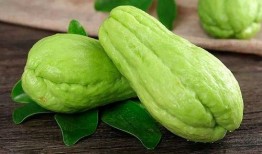 寅子吃瓜,揭秘娱乐圈背后的那些事儿