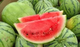 守家吃瓜年,共度欢乐守岁时光