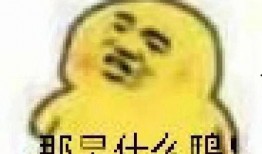 吃瓜表情包可爱的,吃瓜表情包的可爱魅力