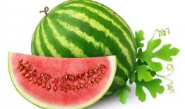 嘉兴小阿姨吃瓜,嘉兴小阿姨的瓜田奇遇记