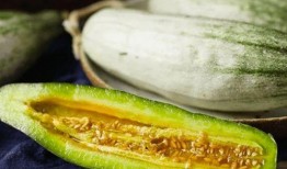 吃热瓜,热瓜消暑，尽享清凉时光