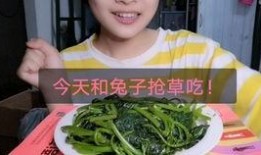 宿舍阿姨吃瓜表白,一场意外的表白奇遇