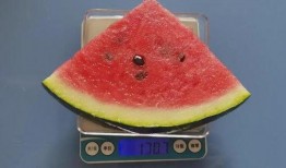 小喇叭吃瓜,揭秘娱乐圈那些不为人知的幕后故事