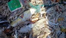 渔民现场吃瓜,共享丰收喜悦