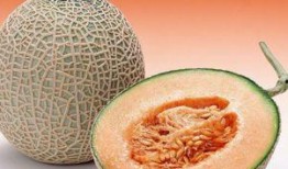 吃鱼吃哈密瓜,探寻美食中的哈密瓜与鱼的完美邂逅