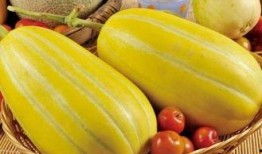 栗瓜怎样吃,从家常到创意料理