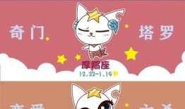 吃瓜像星星,揭秘明星们的“星星”吃瓜日常