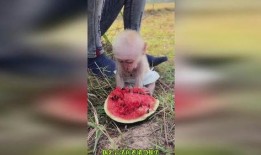 搞笑猴子吃瓜图片,搞笑瞬间引网友爆笑