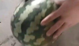 吃瓜斧,网络红人背后的故事与影响力