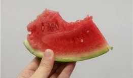 吃瓜一夜,揭秘娱乐圈幕后真相