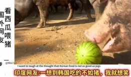 吃瓜大猪,揭秘娱乐圈背后的那些事儿