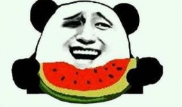 简隋英吃瓜,吃瓜群众的趣味生活