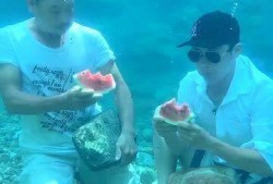 水下运动吃瓜,探寻水下运动的奇妙“瓜”界