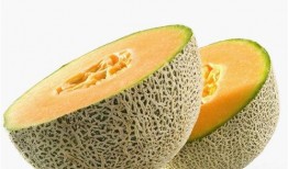 婴儿吃哈密瓜,哈密瓜营养盛宴