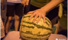 有趣的吃瓜大赛,一场趣味横生的吃瓜大赛盛况回顾