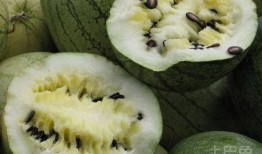 孕妇梦见吃籽瓜,籽瓜寓意着孕育新生命的喜悦