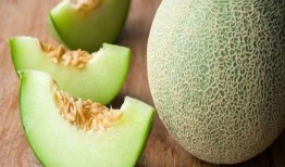 吃哈密瓜儿童,甜蜜滋味开启营养新篇章
