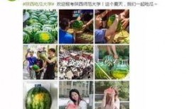 2022大学校吃瓜事件,笑料与争议并存