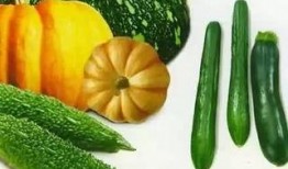 吃瓜的梅子,揭秘娱乐圈那些不为人知的幕后故事