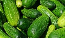 河北工院吃瓜,揭秘校园生活那些事儿