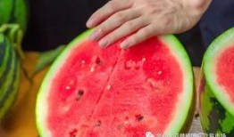 各个学校的吃瓜,揭秘各大院校的吃瓜盛事