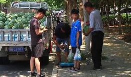 威县吃瓜群众案件,揭秘网络谣言背后的真相