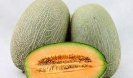 吃鱼吃哈密瓜,探寻美食中的哈密瓜与鱼的完美邂逅