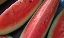 西乌吃瓜,揭秘网络热点的背后故事