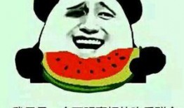 吃瓜群众群项目,网络社交新现象背后的故事