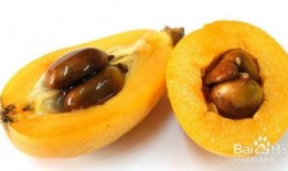 酥瓜可以和枇杷一起吃吗,美味搭配的饮食新主张