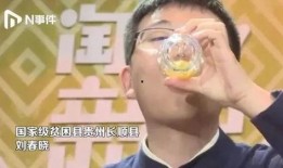 县长直播吃瓜视频,揭秘幕后故事