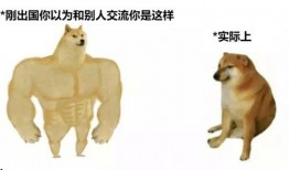 cheems小狗吃瓜,萌宠美食瞬间