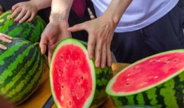 上大学吃的瓜,揭秘校园生活点滴趣事