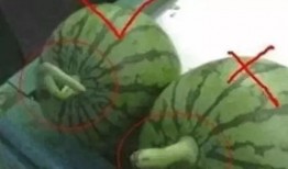 吃瓜视频怎么过原创,原创内容创作攻略揭秘