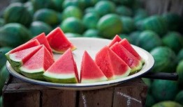 吃瓜群众群项目,网络社交新现象背后的故事