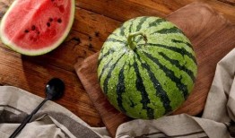 上海吃瓜博主,上海吃瓜博主带你探秘魔都美食江湖