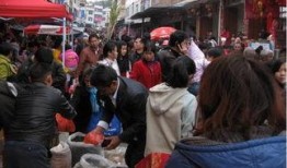 吃瓜群众的拜年信息,欢声笑语迎新春，瓜香四溢贺岁来