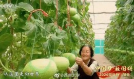 致敬吃瓜群众,揭秘网络舆论场的幕后英雄