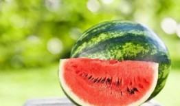 河北工院吃瓜,揭秘校园生活那些事儿