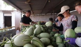 认亲路上吃瓜去,吃瓜群众欢乐多