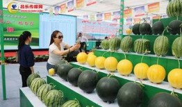 烟台科技操场吃瓜,吃瓜群众的欢乐盛宴