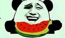 太阳吃瓜群众,揭秘娱乐圈的幕后故事