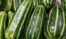 吃梢瓜有啥好处,揭秘梢瓜的五大益处”