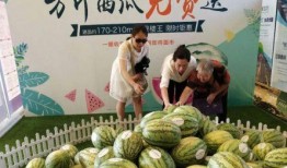 景天吃瓜,揭秘娱乐圈背后的那些事儿