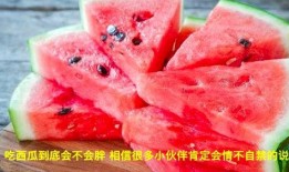 吃瓜会变胖,吃瓜也能变胖？揭秘瓜果热量与体重管理之谜