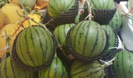 立信吃瓜,揭秘娱乐圈背后的那些事儿