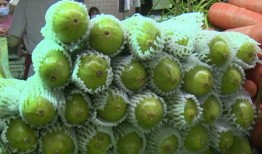 吃烧瓜发苦,探究食用安全与美味平衡之道