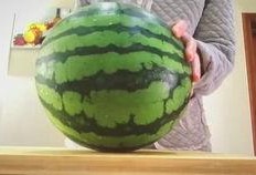 吃瓜吃到甜蜜素,吃瓜也能尝到甜蜜滋味