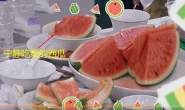 大学吃瓜食堂,舌尖上的吃瓜乐园