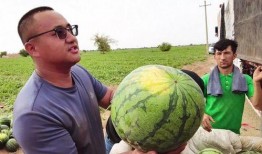 任我行吃瓜,揭秘娱乐圈幕后风云